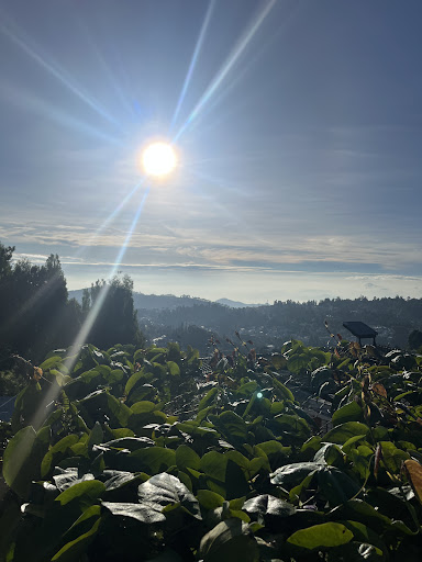 Misty Valley Morning Cloudwalks® Kodaikanal